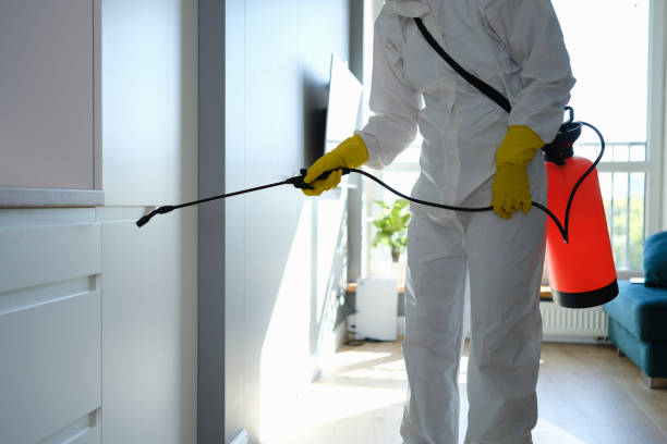 Best Professional Mold Removal  in Taylor, MI